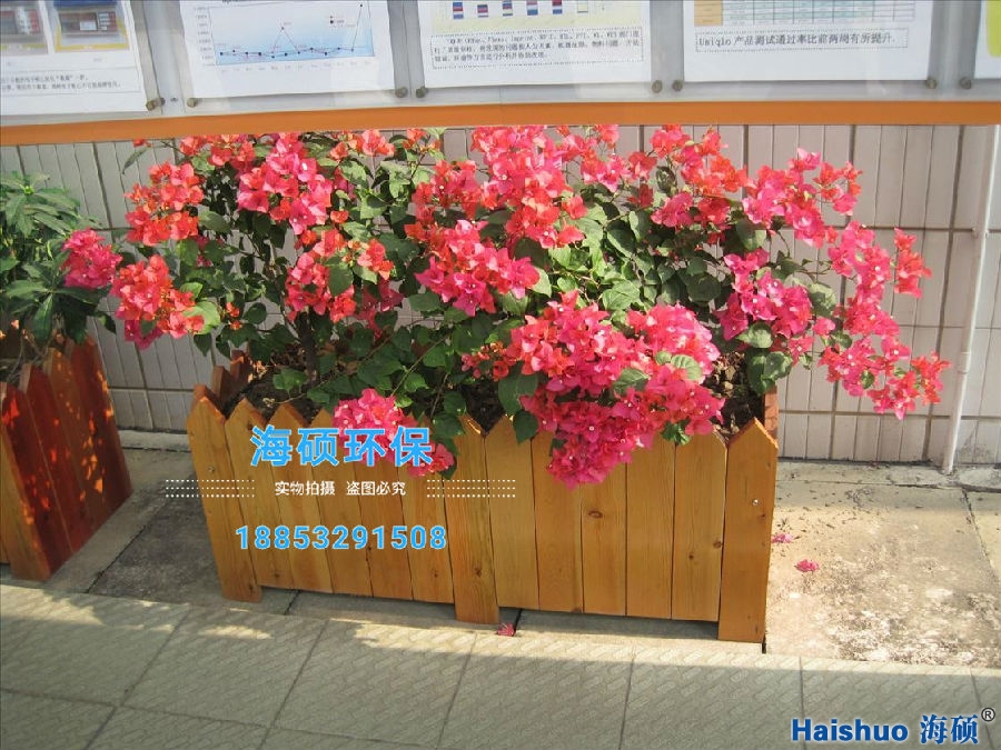 �������l(f��)���������ľ